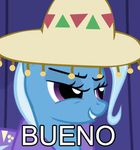  equine female feral friendship_is_magic hat horse image_macro macro mammal meme my_little_pony pony reaction_image solo sombrero text trixie_(mlp) unknown_artist 