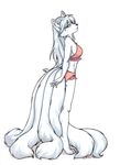  anthro canine deadrabbit female fox hair kitsune krinele long_hair long_white_hair mammal multiple_tails plain_background solo tail white_background white_hair 