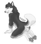  all_fours butt canine dog hindpaw husky huskybutt keihound kneeling male nude raised_tail solo tail 
