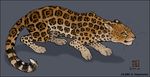  amara_telgemeier copyright feline feral jaguar rosettes solo spotty 