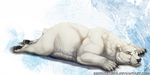  bear feral lying male mammal non-anthro on_front one_eye_closed polar_bear rednight solo 