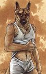  blotch boxers bulge canine dog german_shepherd male solo underwear 