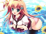  hoshizora_e_kakaru_hashi mikeou nakatsugawa_ui panties petals seifuku sunflower thighhighs tie underwear water wet 