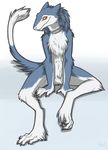  ambiguous_gender chest_tuft collar fluffy keihound looking_at_viewer male murrkus sergal sitting smile solo tail tuft 