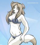  canine dog female grumpy keihound keihound_(character) nonplussed skimpy solo underwear unimpressed 