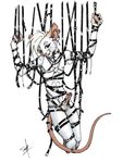 bdsm bondage collar goth leather male nude piercing rat rodent seraph solo suspension twain 
