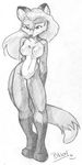  2004 breasts canine female fox hair omgtkb soft solo standing tail 