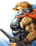  armor cheetah feline karabiner muscles solo sword weapon 