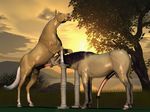  3d cgi couple equine erection fellatio gay hooves horse horsecock male oral oral_sex penis precum sex stallion unknown_artist what 