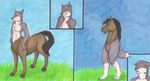  armless canine equine hooves horse kairithekat reversal taur what what_has_science_done wolf 