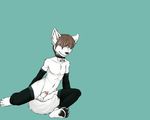  balls brown_eyes canine canine_penis collar crossdressing cute dog elbow_gloves girly hindpaw male nude sabuteur sheath solo stockings unknown_artist wallpaper wolf 