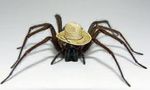  hat real spider tagme 