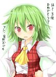  ascot blush dress_shirt efe face green_hair hands_on_hips kazami_yuuka messy_hair plaid plaid_skirt plaid_vest red_eyes shirt skirt skirt_set solo touhou translated tsundere upper_body vest wavy_mouth 