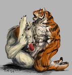  anal canine contortion feline gay male oral penis tiger wolf 