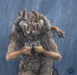 alcohol blotch brown_eyes canine couple drink eyes_closed gay glass happy hug male rain smile wet wolf 