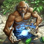  bald bare_shoulders beard facial_hair leaf magic male_focus manly matataku muscle mustache nature old_man original solo torn_clothes wrinkled_skin 