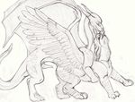  dragon female feral feral_on_feral greyscale gryphon interspecies male monochrome penis rezzit scalie straight unknown_artist wings 