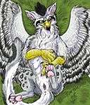  anus avian female feral goldenfox gryphon licking licking_lips lying non-anthro on_back pussy solo tongue wings 