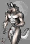  auric balls canine male moon multi_nipple nude penis sheath solo werewolf wolf 