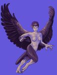  female harpy pale_skin solo talons unknown_artist wings 