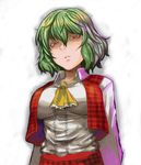 bad_id bad_pixiv_id face green_hair kazami_yuuka lolicept looking_down red_eyes short_hair simple_background solo touhou upper_body 