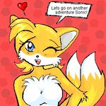  anthro breasts canine crossgender female fox low_res mammal miles_prower sega solo sonic_(series) tailsko unknown_artist 