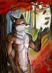  alectorfencer autumn canine fluffy forest fox male nude outside solo tree 