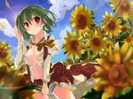  adjusting_hair ascot bad_id bad_pixiv_id breasts cloud day flower fuwa_(haratoshi) green_hair kazami_yuuka lens_flare no_bra open_clothes open_shirt panties plaid plaid_skirt plaid_vest red_eyes shirt short_hair skirt skirt_set sky small_breasts solo sunflower touhou underwear vest 
