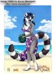  beach blue_eyes chest_tuft crab cute female kacey lemur natsumi ringtailed_lemur seaside skimpy solo watermelon 