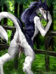  2007 butt chimera_synx clitoris female fence from_behind looking_at_viewer outside prehensile_clitoral_hood presenting pussy rain_silves raised_tail sergal spread_legs spreading tail 