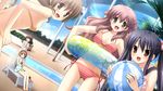  bikini black_hair brown_eyes brown_hair game_cg haruka_hinata hosaka_hina ikegami_akane makiya_kasumi makiya_sumika red_eyes swimsuit with_ribbon 