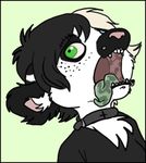  collar drool female green_eyes hair holly_massey lemur open_mouth saliva short_hair solo tongue zeriara_(character) 