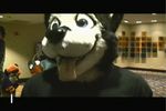  buddy canine craftyandy cute favorite fursuit gif hands mammal photo real up 