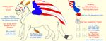  broken dog_tags one_wing patriot puma republican retarded what 