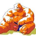  barazoku bear grisser male solo underwear 