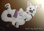  balls bolt canine caught colifox collar cum disney dog erection feral knot looking_at_viewer male on_back penis pixar presenting rule_34 solo white 
