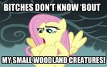  fluttershy friendship_is_magic image_macro my_little_pony tagme 