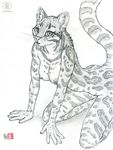  anthro black_and_white breasts feline female greyscale kacey looking_at_viewer mammal monochrome nipples ocelot pencils plain_background sketch solo white_background 