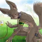  2004 armband brown_eyes claws collar grass grey kneeling leash leg_band looking_at_viewer male ring soft solo tail zen 