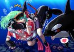  breasts cetacean clothing dolphin duo edmol eyes eyewear female fins flippers goggles love mammal marine nose orca pants scuba sea shirt socks tail teeth transformation water whale 