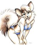 anthro canine clothed clothing dog female looking_at_viewer mammal megan_giles plain_background skimpy solo swimsuit tail white_background 