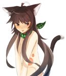  animal_ears black_hair capcom cat_ears cat_girl cat_tail melynx monster_hunter paw paws personification tail 