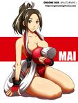  bare_shoulders breasts brown_eyes brown_hair cleavage fatal_fury large_breasts pelvic_curtain revealing_clothes shiranui_mai solo the_king_of_fighters yas 