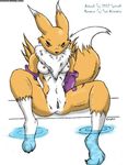  2002 blue_eyes breasts canine chest_tuft claws digimon elbow_gloves female fox gloves hiroi_kairu looking_at_viewer navel nipples nude pussy renamon sitting solo spread_legs spreading tail water yellow 