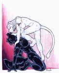  canine feline female jessica_willard kissing kneeling male nude straight 
