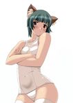  angry animal_ears blush brown_eyes copyright_request crossed_arms face green_hair nishiyama_maruta one-piece_swimsuit school_swimsuit short_hair solo swimsuit thighhighs white_legwear white_school_swimsuit white_swimsuit 