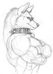  canine collar glasses male muscles piercing richard_foley sketch solo wolf 