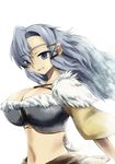  blue_eyes blue_hair breasts cleavage final_fantasy final_fantasy_crystal_chronicles highres selkie 