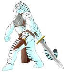  alan_dean_foster armor cankles dagger feline female kazuhiro muscles oekaki roseroar skimpy spellsinger sword tiger weapon white_tiger 