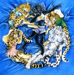  bottomless bra circle clouded_leopard cute feline female group heather_bruton jaguar leopard melanistic_leopard panties pillow plushie shorts sleeping sleepover sleepwear snow_leopard underwear 